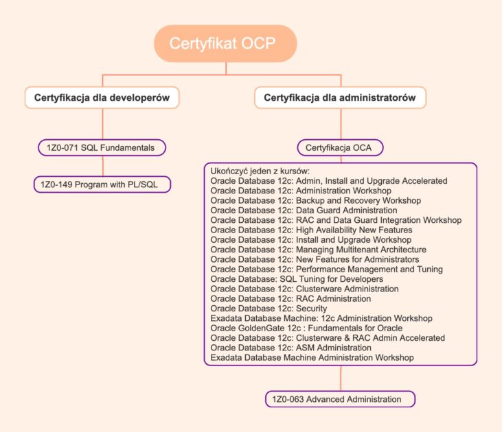 Egzaminy do zdania do uzyskania certyfikatu OCP